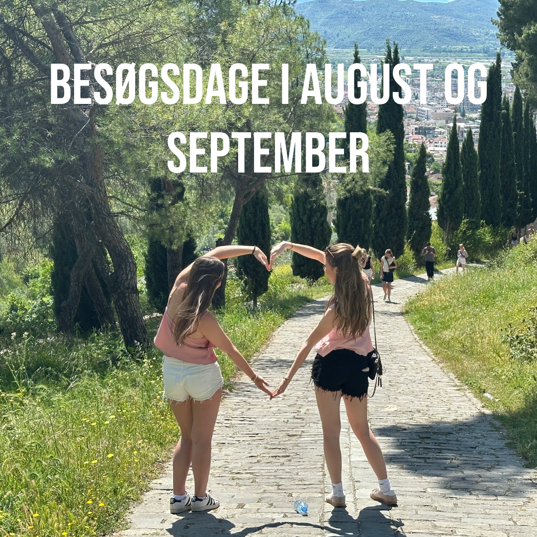 besøgsdage